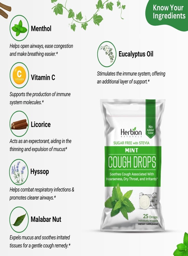 HERBION Naturals Cough Drops, Sugar-Free with Stevia, Dietary Supplement, Soothes Cough, for Adults & Children Over 6 Years, 125 Drops (Pack of 5), Mint - Image 3
